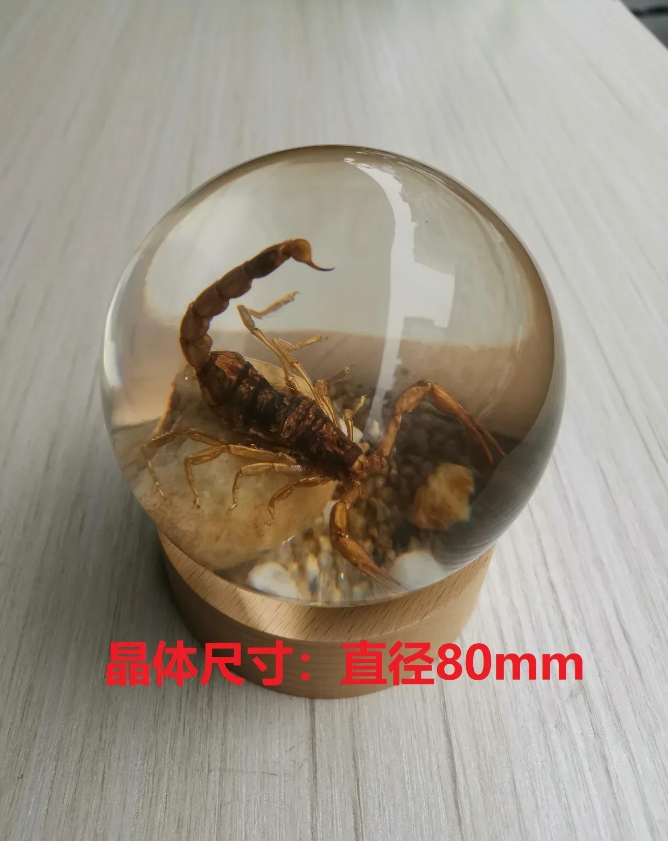 SOURCE Supply Children's Day Resin Epoxy Insect Spherical Specimen Real Scorpion Centipede Desktop Crafts Ornaments Sculpture