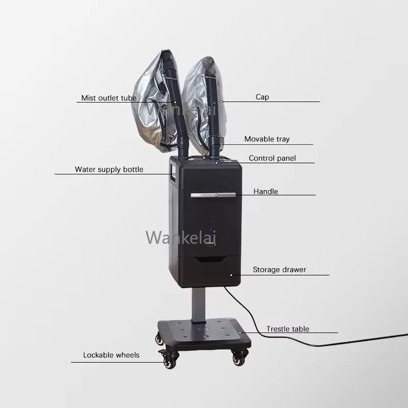 Professional Nano Mist Hair Steamer 2 Person Double Steam Pipe Salon Barbershop Hair Scalp Ozone Care Machine with Cap