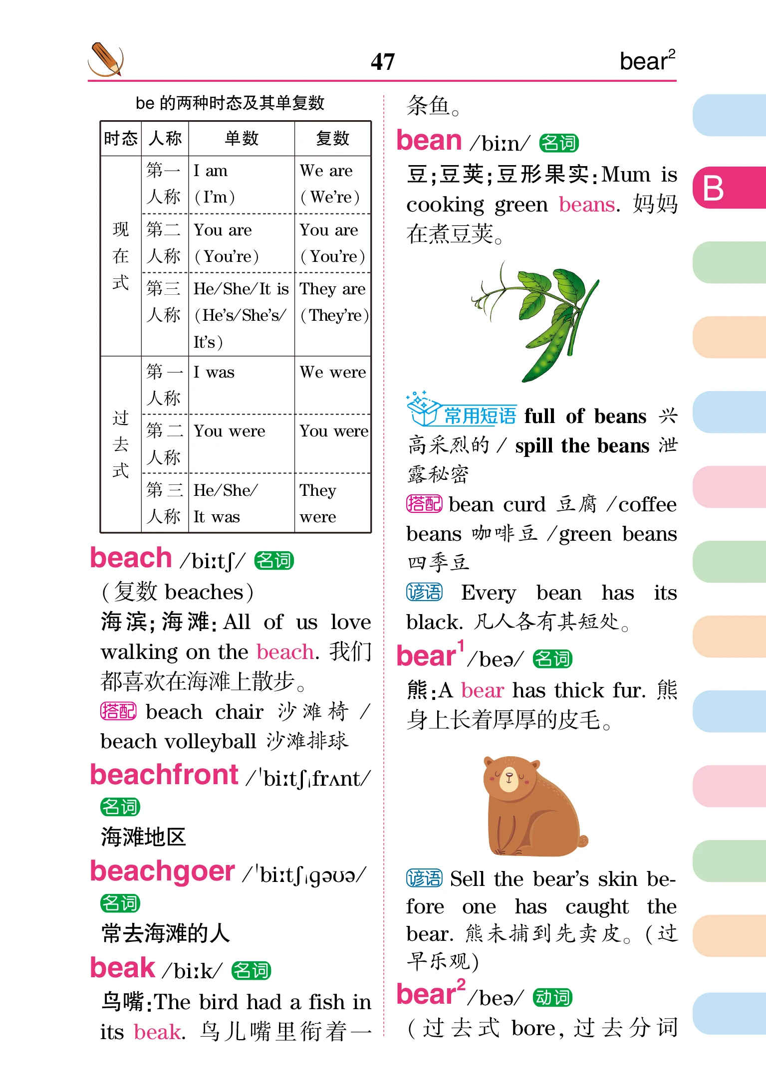 Multi-Functional English Chinese Dictionary For Primary and Secondary School Pupil Double Interpretation Reference Book