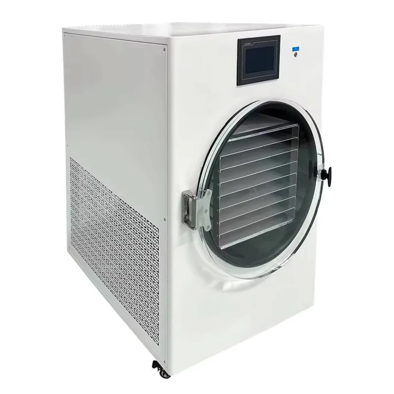 6Kg 8Kg 10Kg Mini Compressor Vacuum Pump Small Household Freeze Dryer
