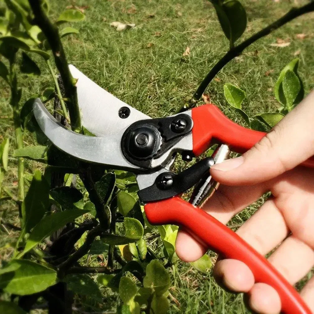 High-carbon Steel Gardening Scissors Grafting Tool Fruit Tree Pruning Shears Bonsai Pruners Garden Shears Secateurs