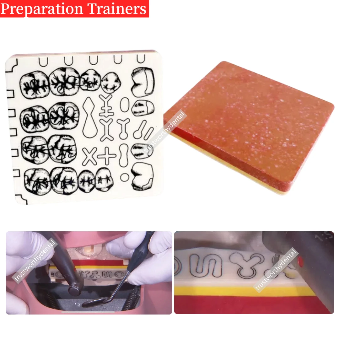 

Dental Cavity Preparation Exercises Training Blocks Similar Frasaco A-PTM Preparation Trainers Enamel Dentin Pulp Layer Practise