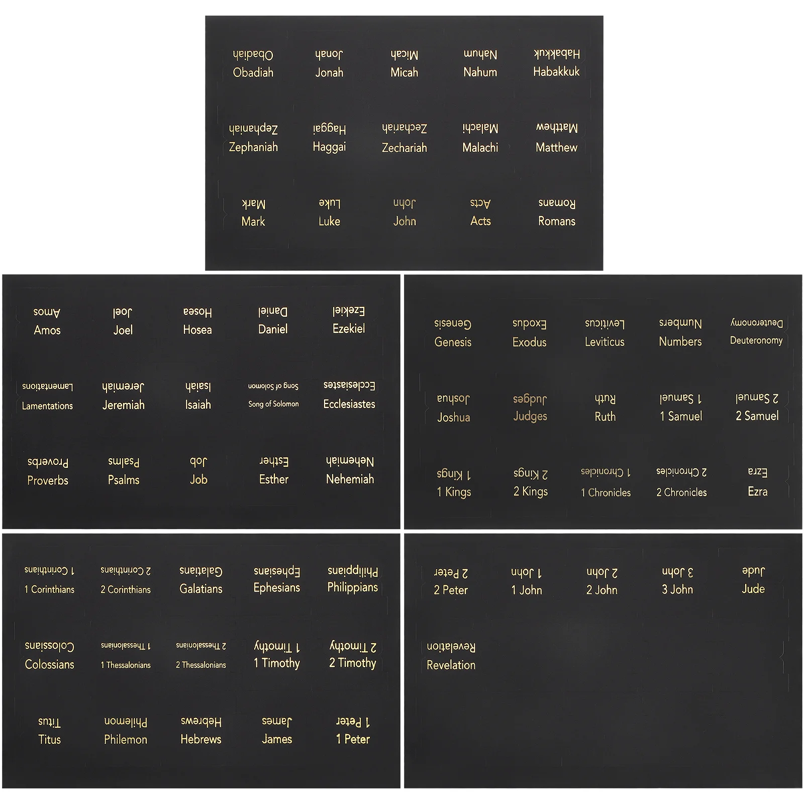 5 Sheets Bible Index Tabs Book Tabs Adhesive Bible Study Supplies Clear Font Section Markers Book Accessories