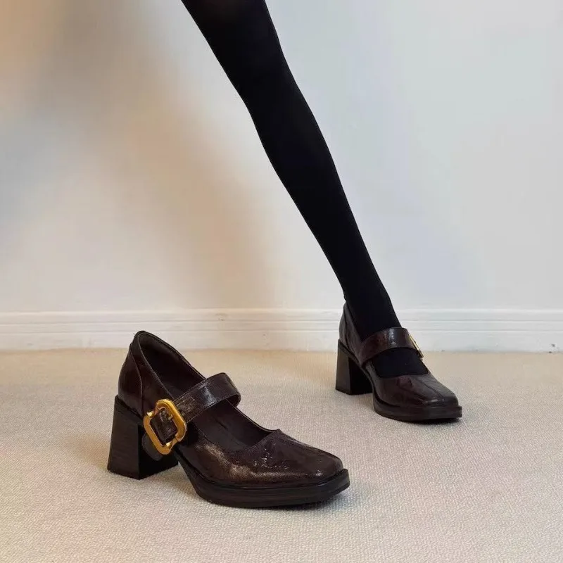 

Fashion Commuter Square Toe Mary Jane Shoes 2026 New Metal Buckle Thick Single Shoes