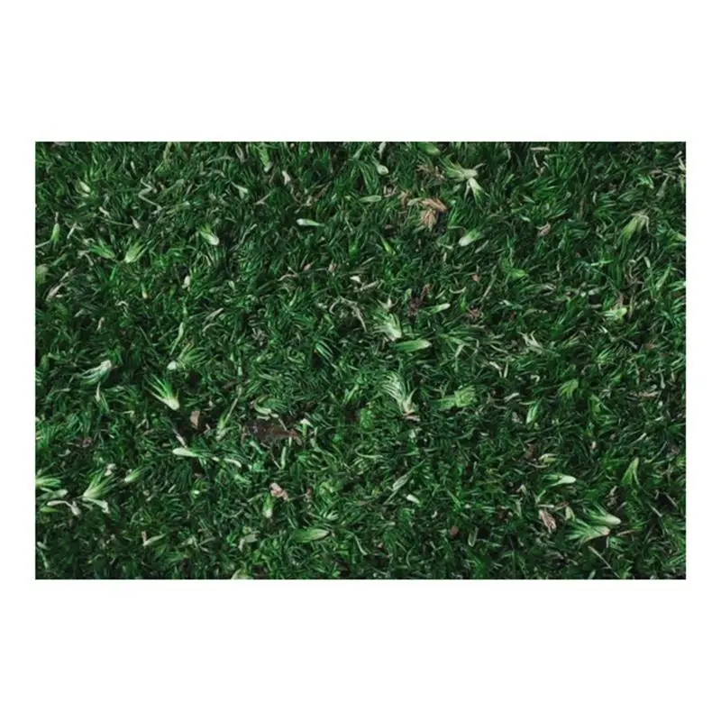 Wetland Diorama Grass Terrain Base 1/16 1/35 1/48 1/72 1/87 Scale Natural Scene Platform Wargaming Miniature Model Display Base