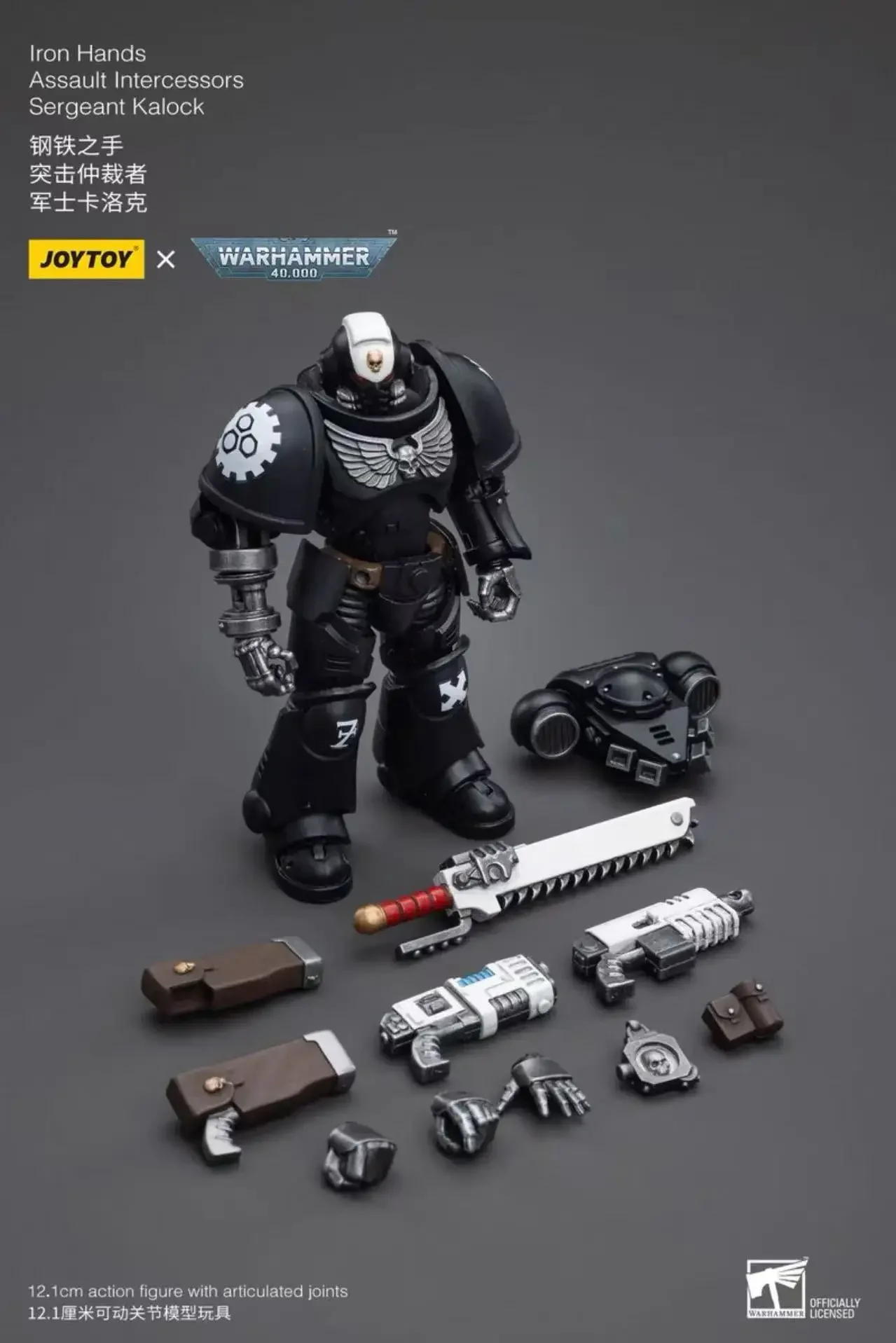 

JOYTOY Dark Source Warhammer 40K Steel Hand Arbiter Sergeant Carloch 1/18 Moving Soldier Model