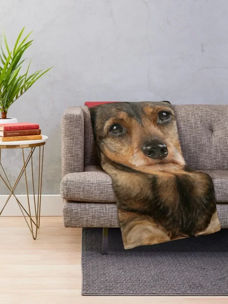 Sweet wire-haired dachshund dog wishes Merry Christmas Throw Blanket Thins Decorative Throw Blankets