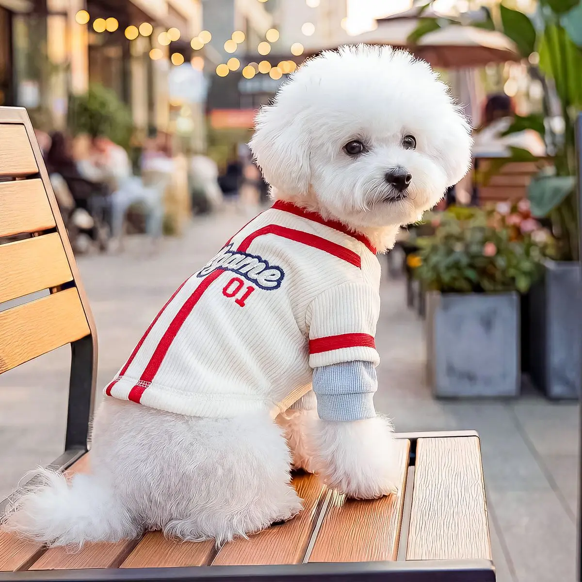 Sudadera con capucha bordada apta para perros pequeños y cachorros - imagen 5