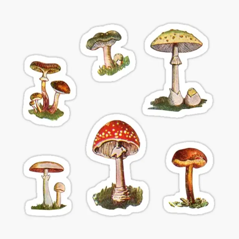 Champignons Sticker Voor Laptop Decor Slaapkamer Auto Schattige Cartoon Kunst Modieuze Openbare Koffer