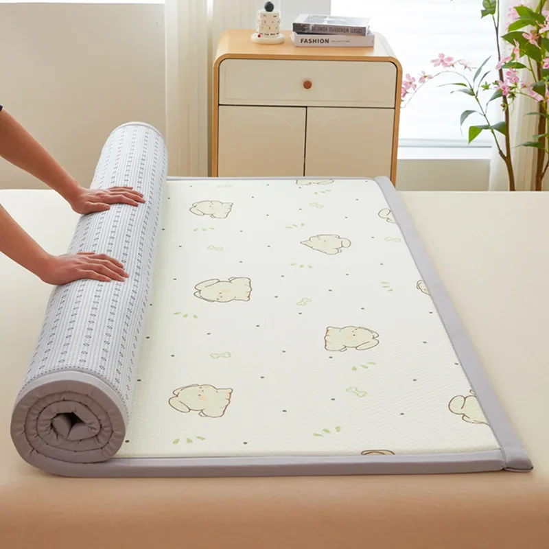 

2025 New Class A Ice Doudou Cushion Summer Student Dormitory Soft Mat Summer Cool Mat Machine Washable Cool Floor Mat