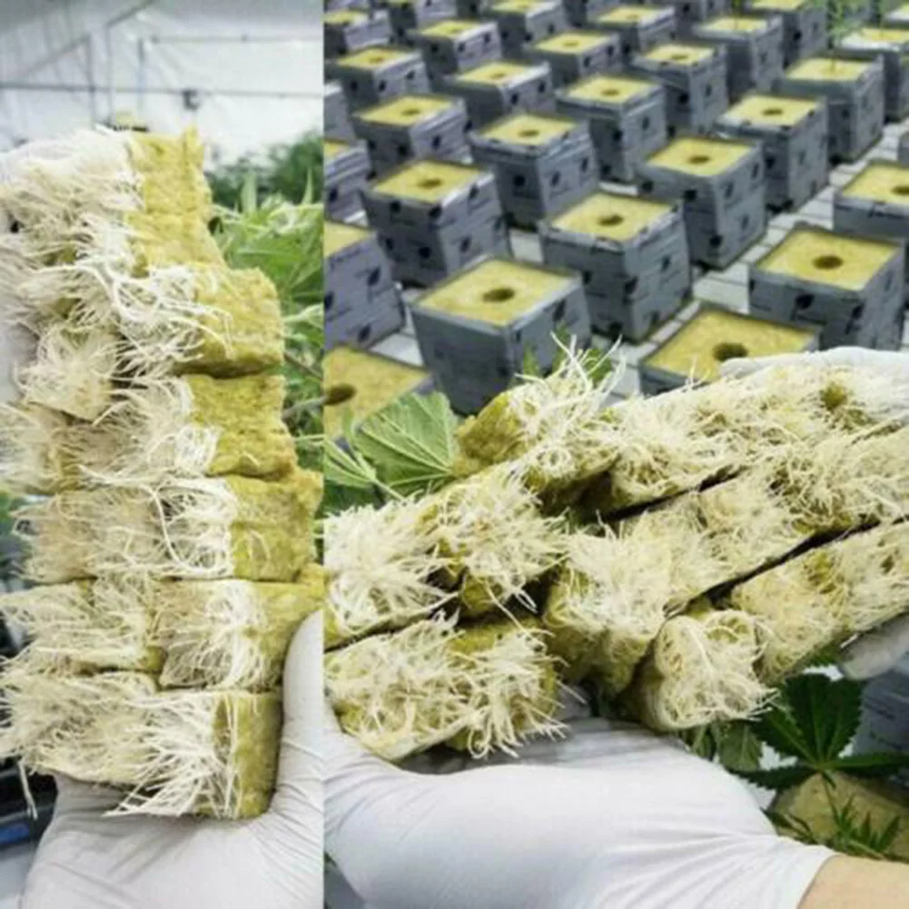 50/100pcs Ventilative Hydroponic Grow Agricultural Media Compress Cubes Rock Wool Plug Soilless Culture Substrate