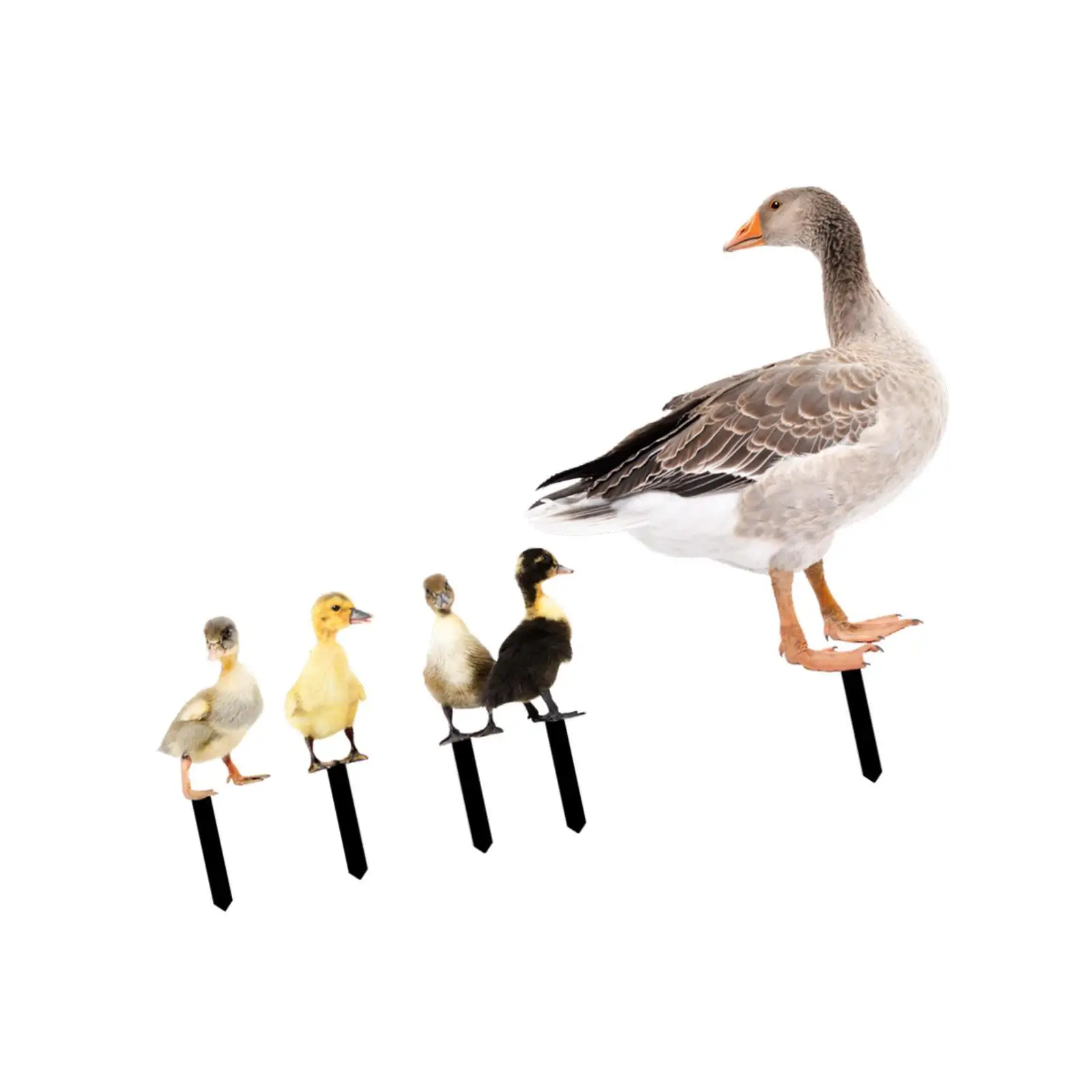 4x Duck Animal Statue Stakes, Garden Stakes, Decorative, Weatherproof, Ornament Duck Statue for Garden Sidewalk Home