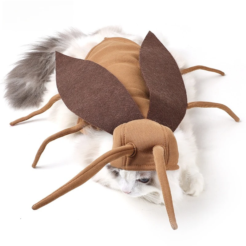 Funny Cockroach Pet Costumeory 5