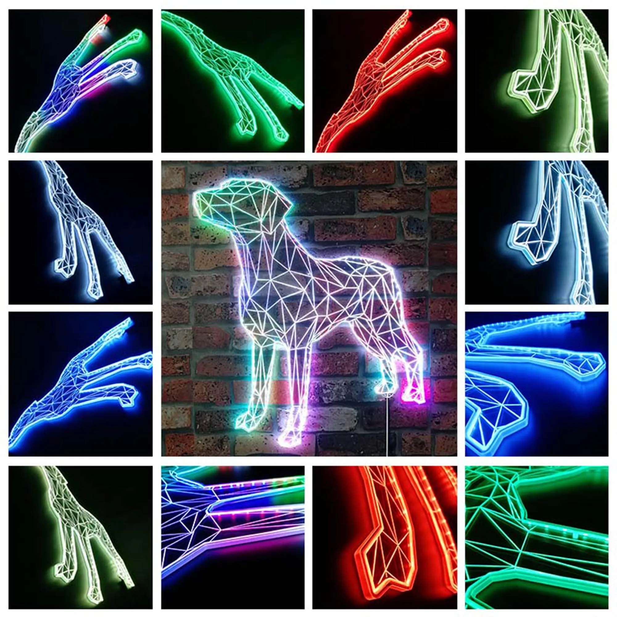 Labrador Retriever Geometric Dog Glam Led Neon Sign st06-fnd-i0016-c