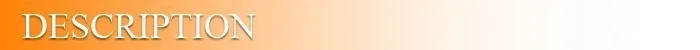 (25 Yards/Rolle) 3/8'' (10mm) Goldenes Metallisches Glitzerband Buntes Geschenkverpackungsband Großhandel – Detail 1