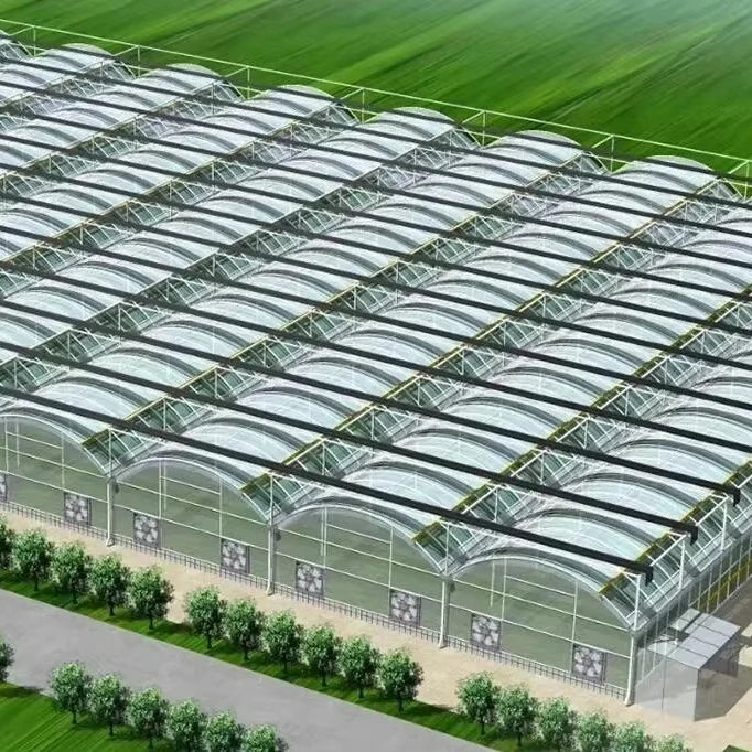 

Customized greenhouseCommercial use Customized Large Size Intelligent Hydroponic Greenhouse for Agricultural Vegetable and Flowe