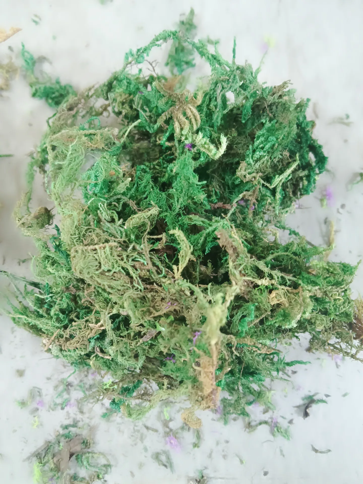 20 グラム/バッグミニチュア苔 DIY モデル作成/マイクロサンドテーブル風景/軍事ウォーゲーム風景/鉄道列車レイアウト/ジオラマ用