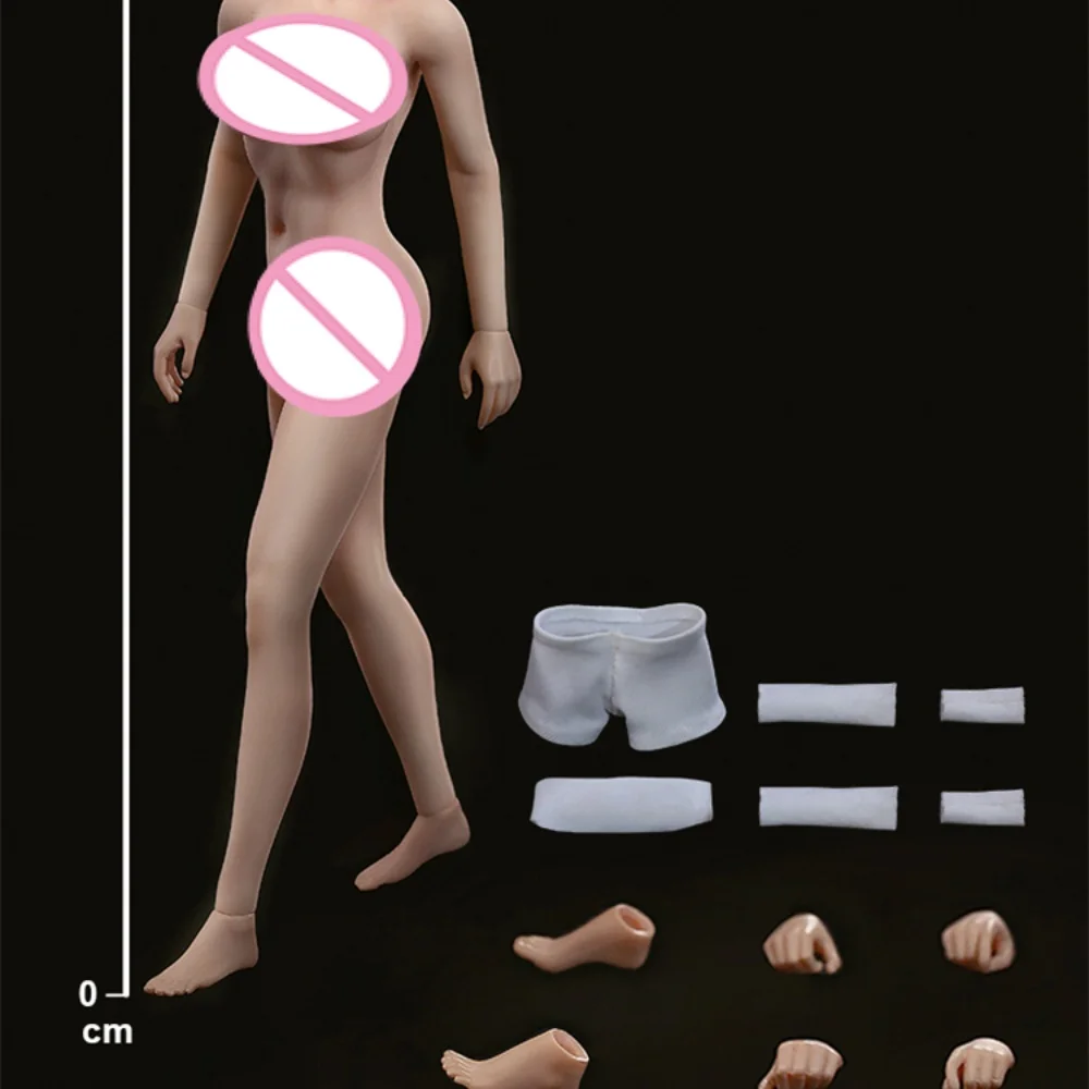 

In Stock TBLeague 1/12 T01 AB Scale Female Soldier Pretty Girl With Head Super-Flexible Body 6" Action Figure Model Toys ﻿