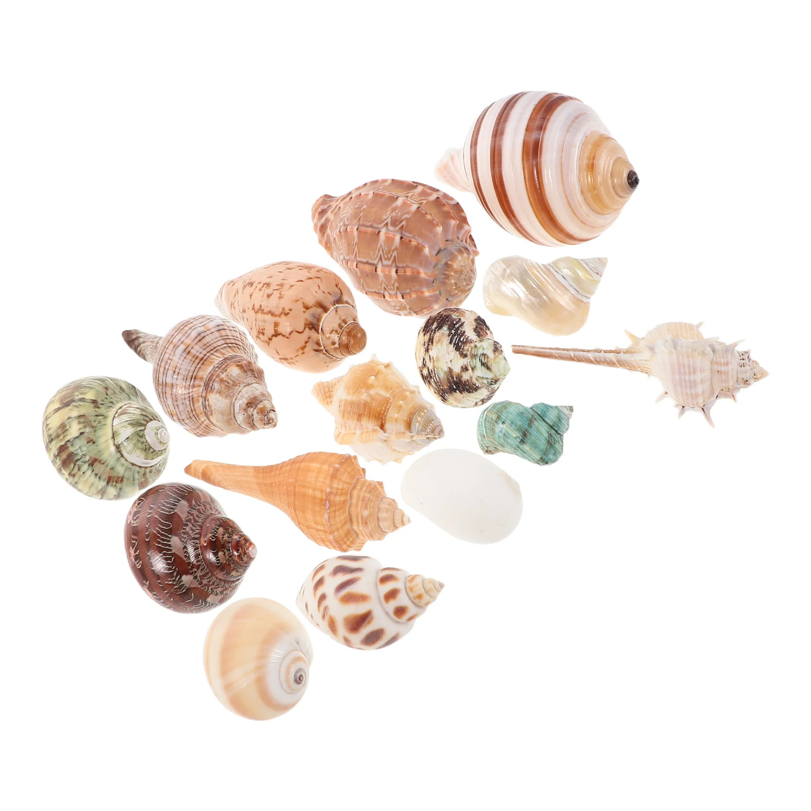 

15pcs Mixed Seashells Fish Tank Decorations Colorful Coastal Shell Ornaments Aquarium Landscape Fish Tank Accessories Tropical
