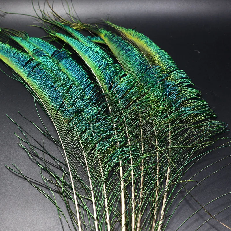 Royal Sissi 10pcs pack natural peacock sword tail feather salmon&pike&sea trout wet fly lure Alexandra flies fly tying materials