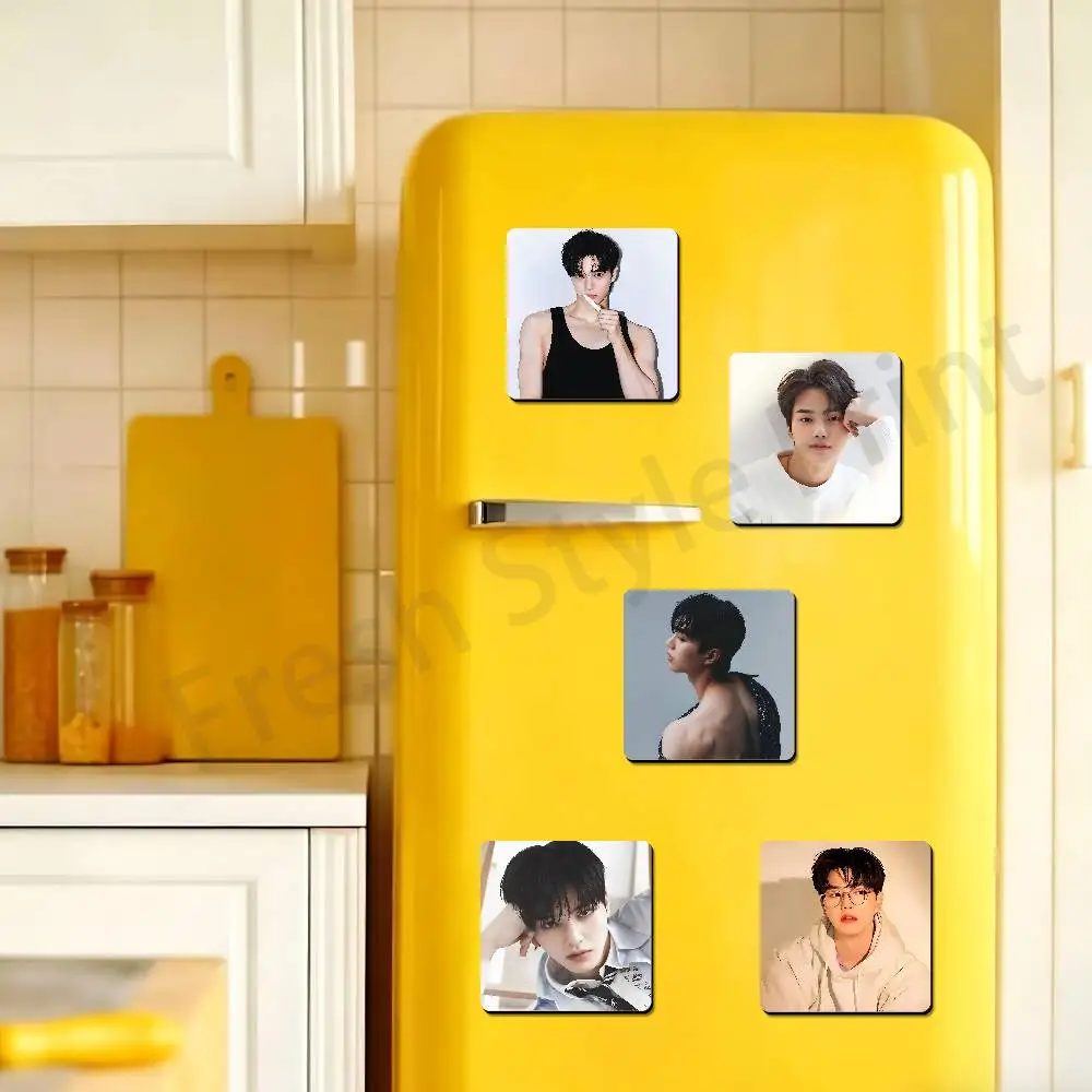 S-Song K-Kang Actor Soft Magnetic Refrigerator Magnets Personality Decorations Creative Gifts