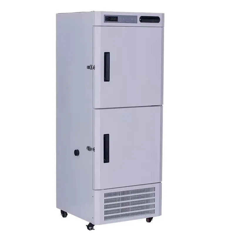 200 400L Double Door Glass Refrigerator Freezer 2 to 8 C -10 to -25 C High Quality Commercial Display Cooler