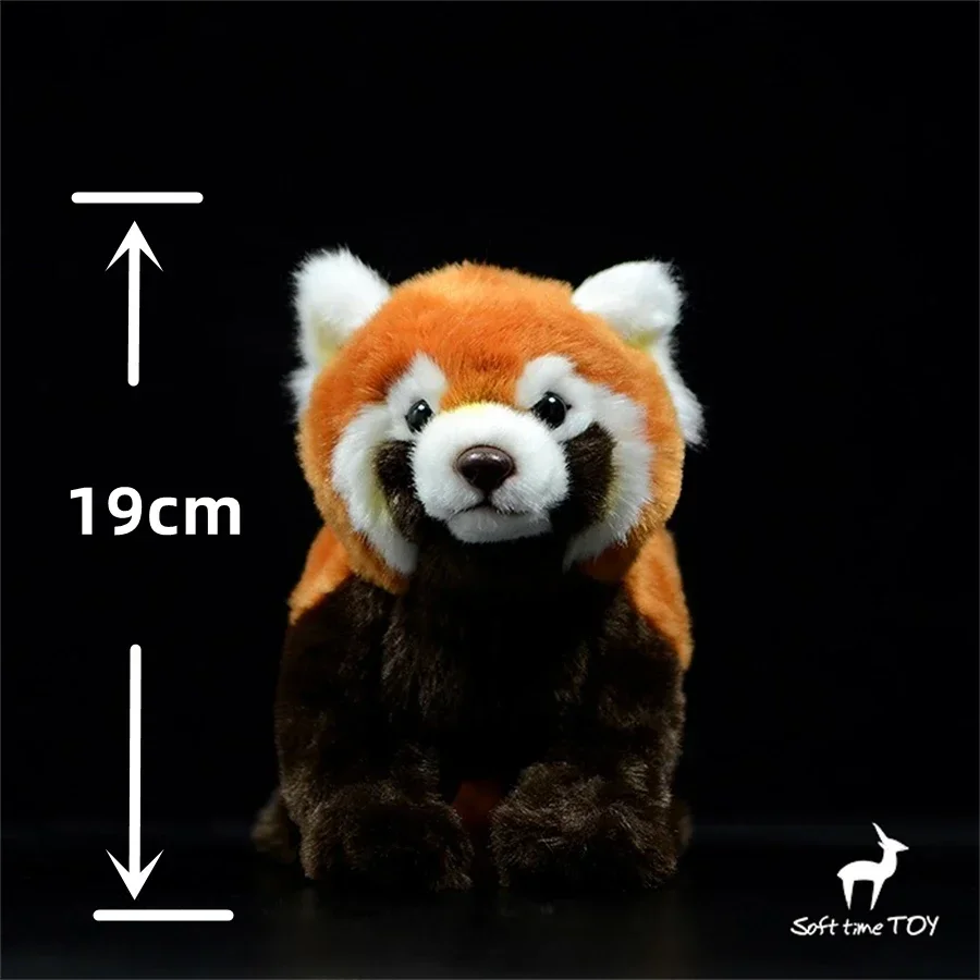 Red Panda Plush ของเล่นสมจริง Lesser Panda Plushie เหมือนจริง Himalayan Raccoon ตุ๊กตาสัตว์ Red Panda จําลองตุ๊กตาของขวัญ