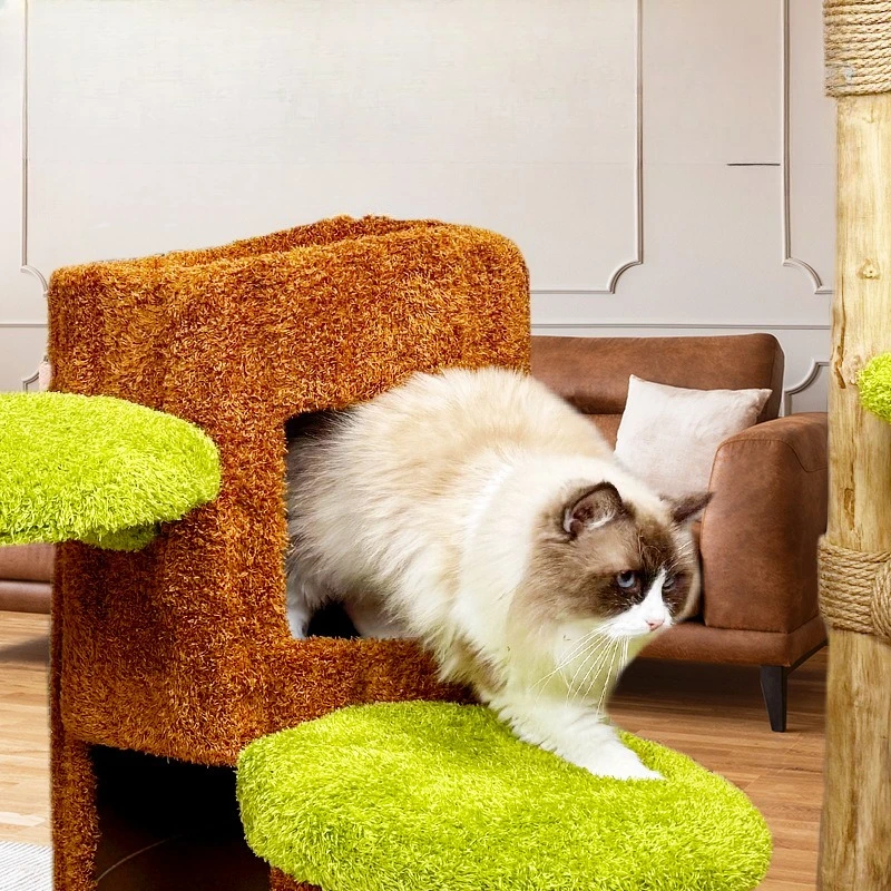 

Solid wood cat climbing frame cat litter tree integration does not occupy a sisal
