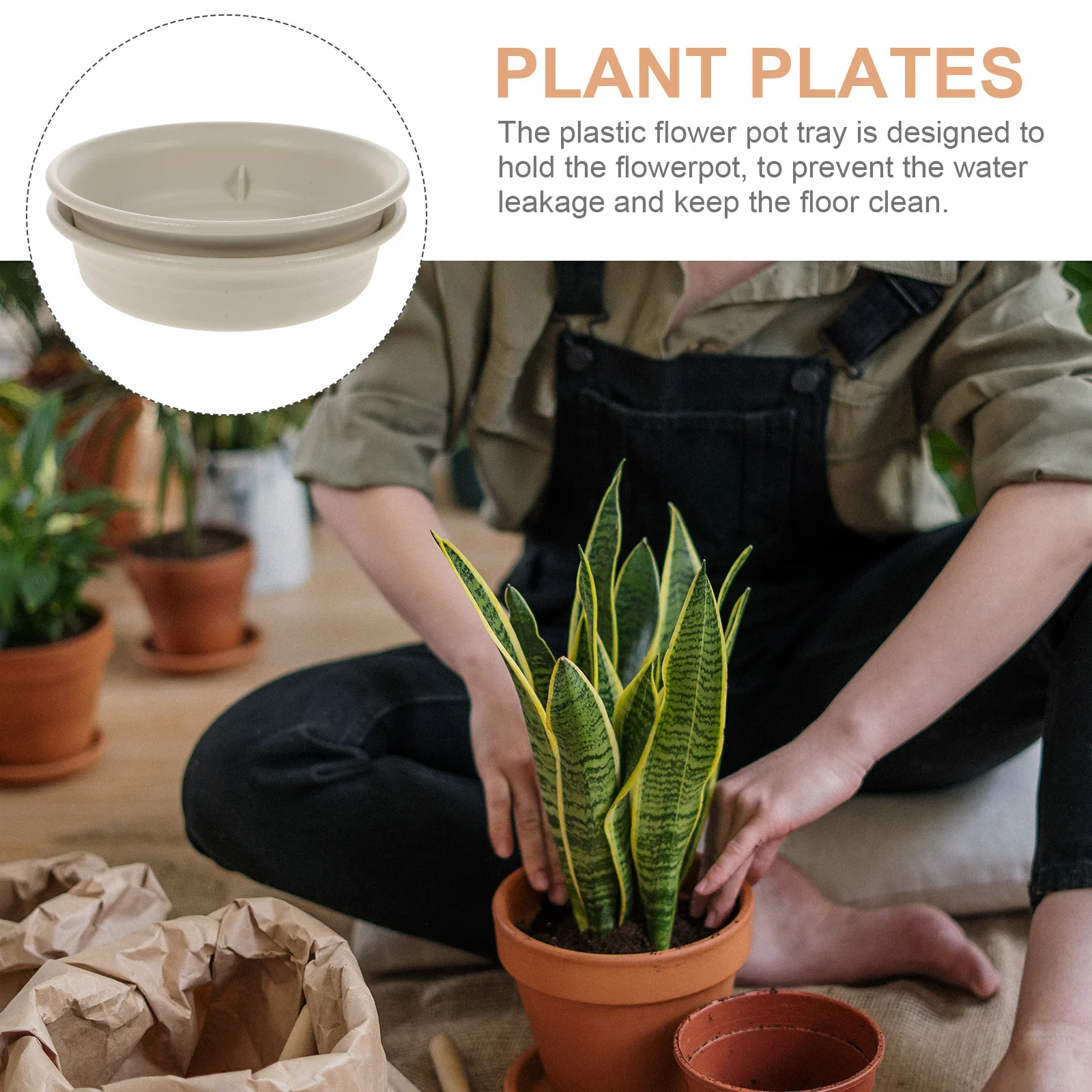 

2pcs Thickened Resin Tray Round Flower Pot Saucer For Indoor Plants Leak Proof Base Drip Catcher Plate Plastic Pallet