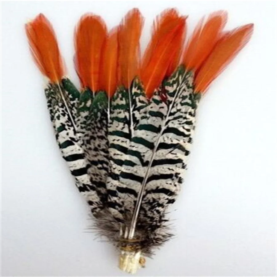 

100PCS 15-20CM Tipped Zebra Pheasant Feathers Sam ba Lady Amherst Pheasant Chicken feather Plumes For Crafts Making Carnival