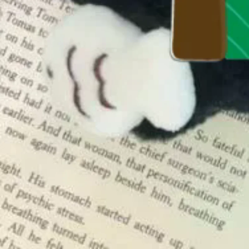 Joli porte-clés en peluche chat noir, pendentif de sac jouet Kawaii, accessoire de porte-clés de voiture, idée cadeau pour Couple