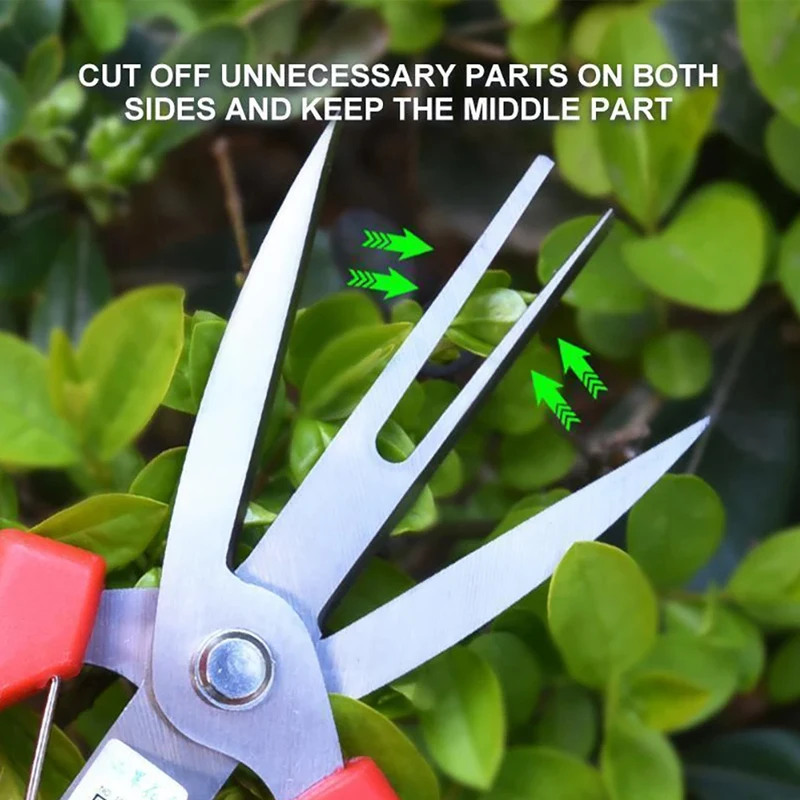 Imagem -04 - Garden Pruning Shears Branches Scissors Fruit Picking Scissors Flowers Trim Orchard Farm Trees Shears Hand Gardening Tools Pcs