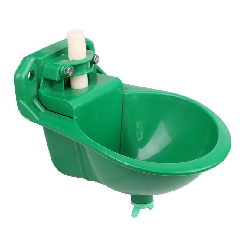 Beef Drinking Bowl …