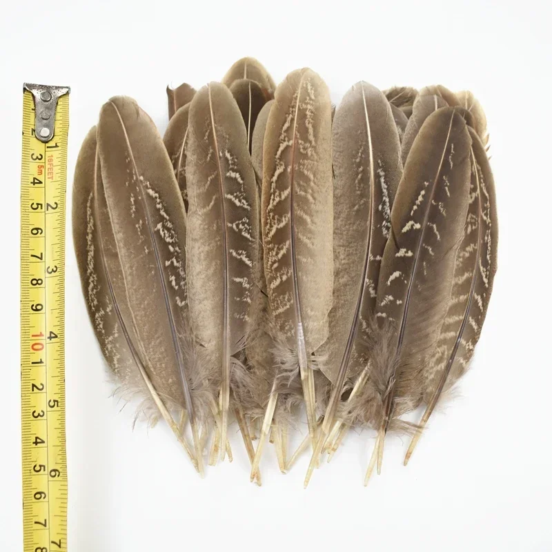 Natural Pheasant Feathers for Crafts Feather Dream Catcher Jewelry Handicrafts Accessories Plumes Decoration Diy Craft Supplies