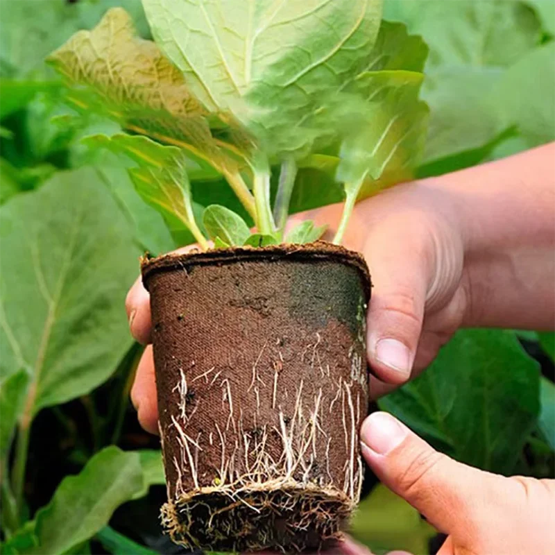 50 Stück Runde Garten-Torfächer, Pflanzkübel für Setzlinge, Anzuchtschalen, Kräuter-Saatbehälter, Pflanzwerkzeuge, Umweltfreundlich, Biologisch Abbaubar – Detail 9