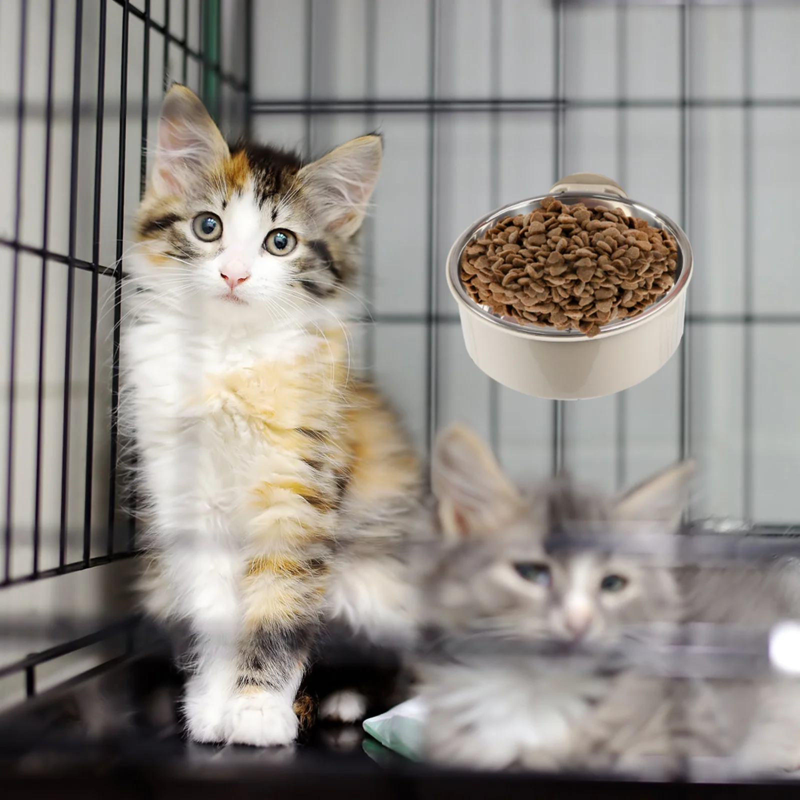 

Stainless Steel Pet Bowl Portable Double Layer Easy Clean Cage Fixed Dog Cat Feeder Supplies Grey Middle Size Pet Bowl