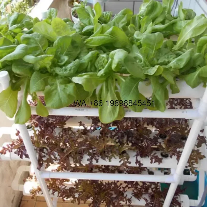 Wmwmnu 108 Holes 3 Layers 12 Tubes New Design NFT Hydroponics Planting Channel System Grow Kit with Pump and Automatic