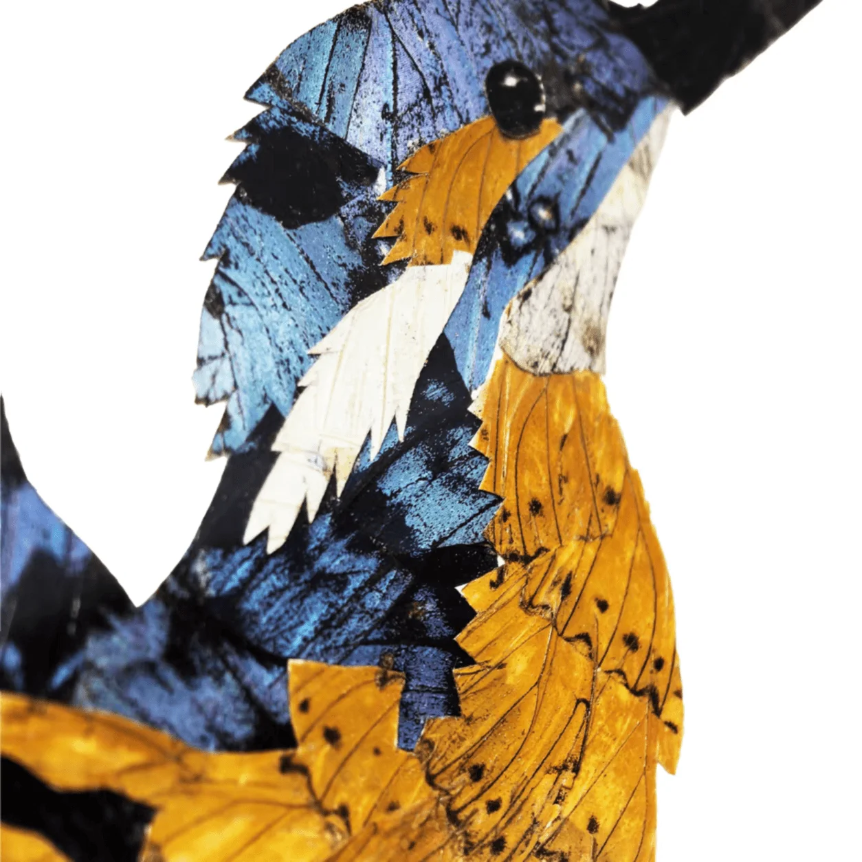 Framed Kingfisher Butterfly Wing Art, Handmade Iridescent Wing Collage Wall Decor, Dual?use Wall Hanging & Table Display Artwork