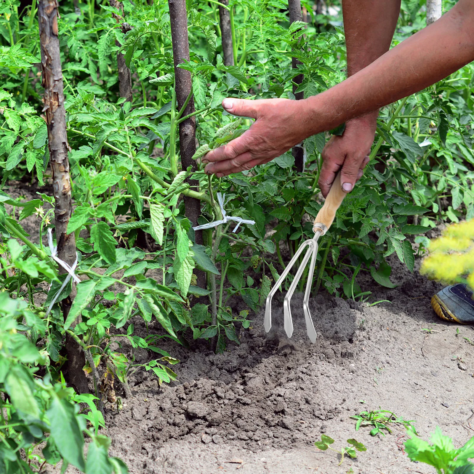 

Garden Tool Mini Rake Spade Stainless Steel Planting Tools For Gardening Hand Tools Soil Loosening Weeding Gardening Kit