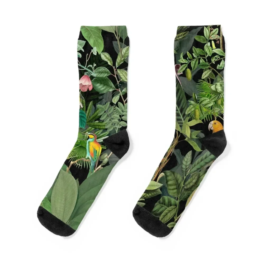 Jungle Birds Tropical Paradise Socks Stockings compression Heating sock with print Man Socks Women's