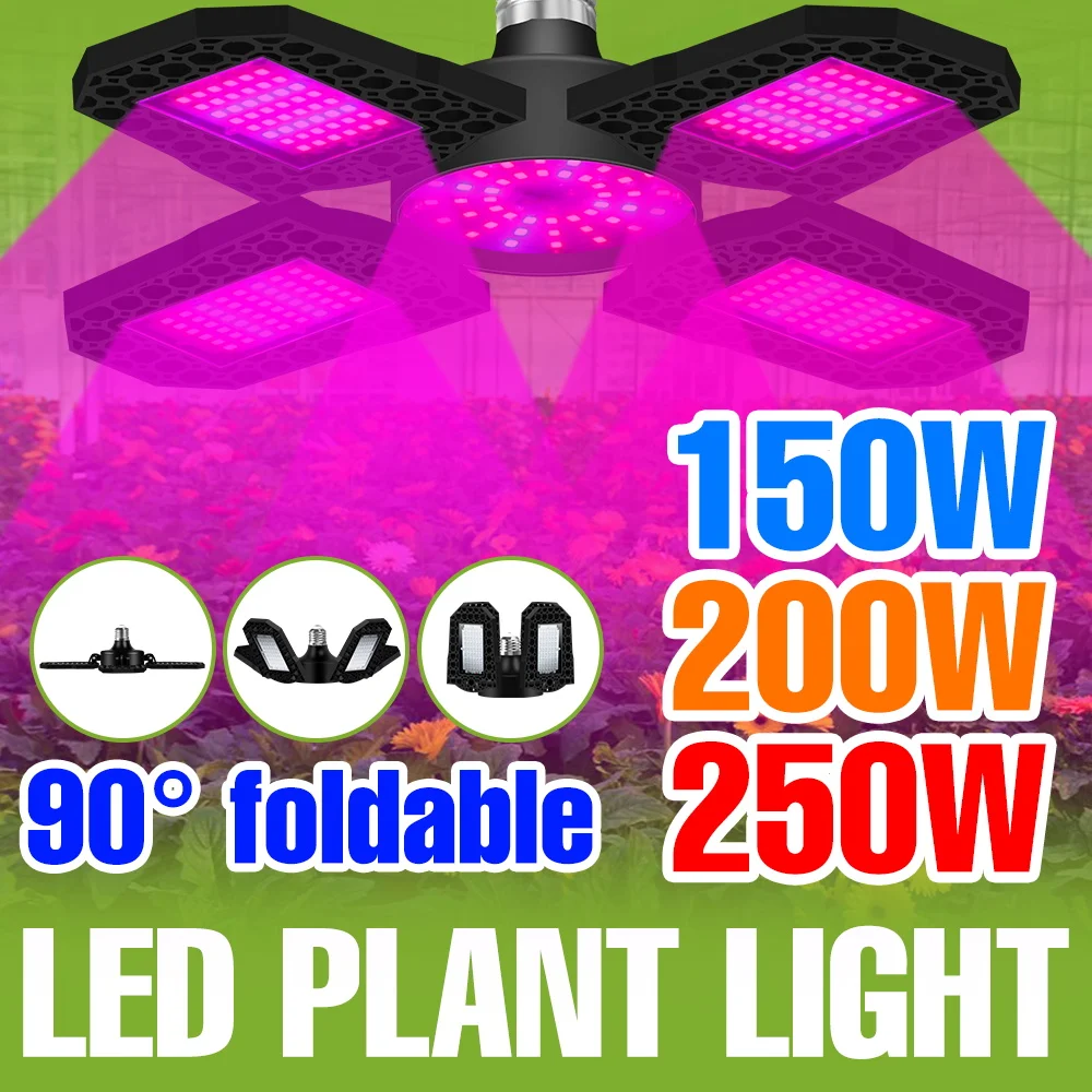 

Светодиодные фитолампы для помещений 250 Вт, полный спектр, 220 В, складные, для теплиц, гидропоники, выращивания овощей и фруктов
