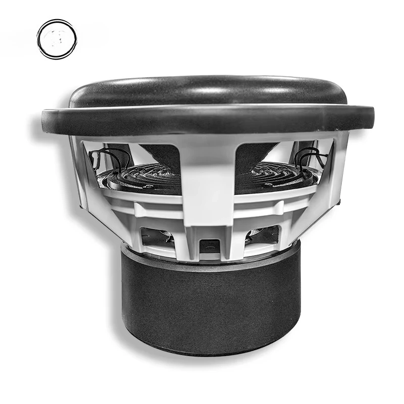 12-Inch Dual 2OHMS …