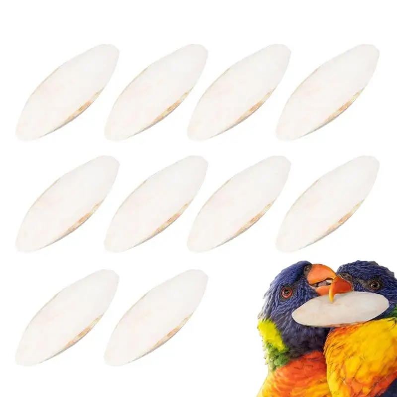 10Pcs/set Natural Bird Cuttlebone Bird Sharp Beaks Cuttlefish Bone Cuddle Bone Toy Chew Toys For Reptiles Snails Turtles