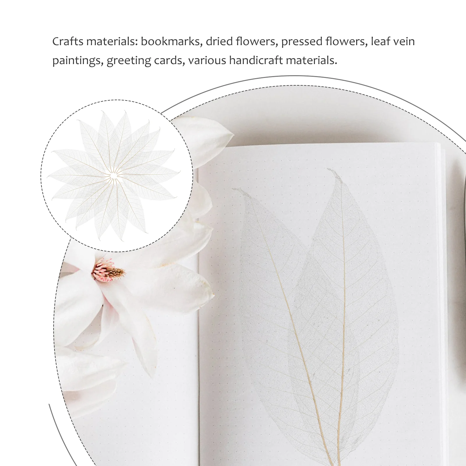 100 Pcs Bathroom Decorations Magnolia Leaf Specimen Bookmark Accessory Natural Leaves DIY Materials Plant Tree