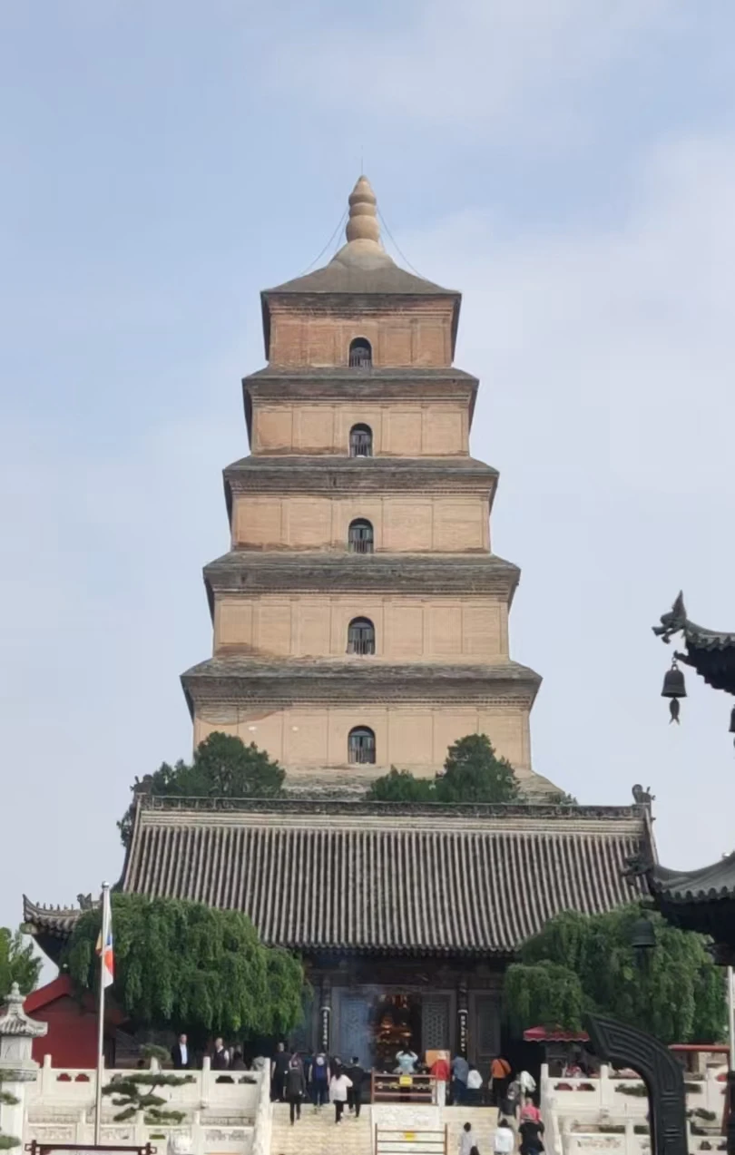 Spese di spedizione supplementari o prezzo/differenza/personalizzato