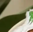

Милый мультяшный плюшевый чеснок, кот, медведь, брелок, кавайные мягкие куклы, игрушки, рюкзак, подвеска, брелок, подвески, ювелирные аксессуары, подарки