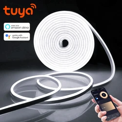 Tuya Smart Life kontrola aplikacji WiFi pasek Neon LED 12V taśma neonowa dekoracja do pokoju kuchennego z podświetleniem z Alexa Google Home