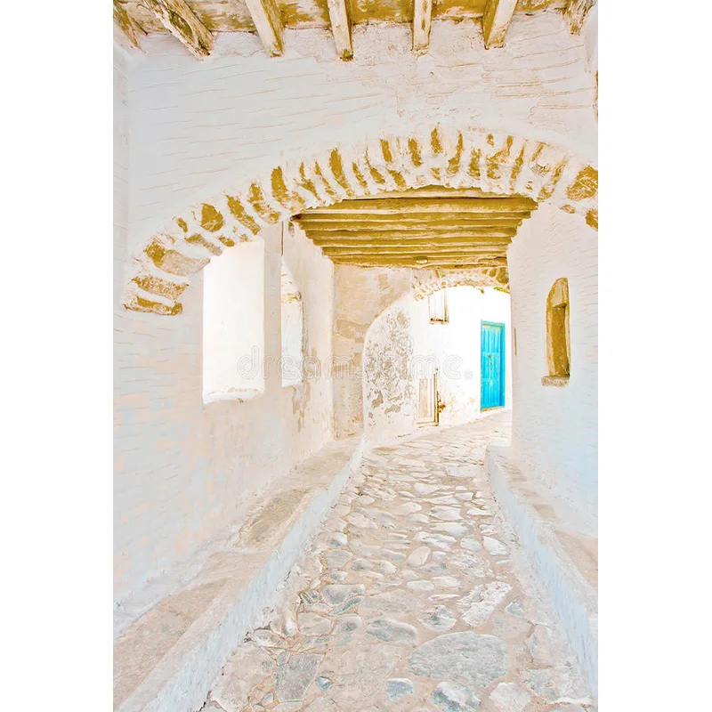 NITREE estilo europeo Retro calle paisaje costero fotos de boda recién nacido y fotografía de mascotas accesorios de fondo JDH-11