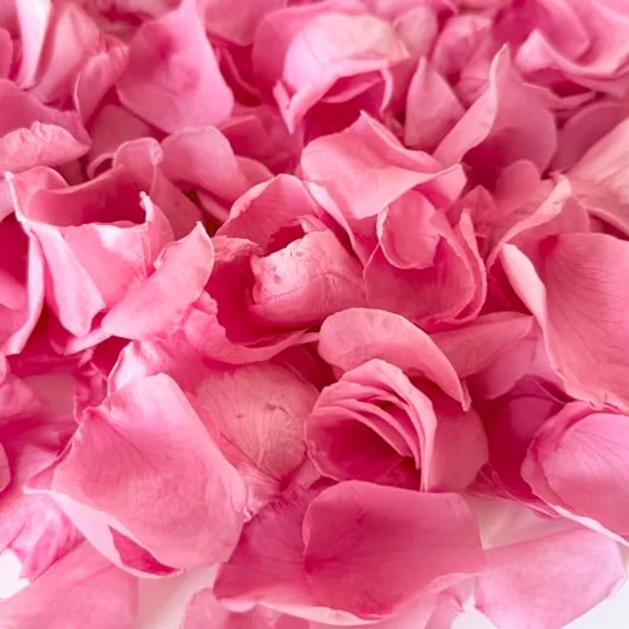 

Real Pink Rose Petals 180+PCS Freeze Dried Flower Confetti for Wedding, Proposal, Romantic Night, Table Centerpiece Décor 1.75o