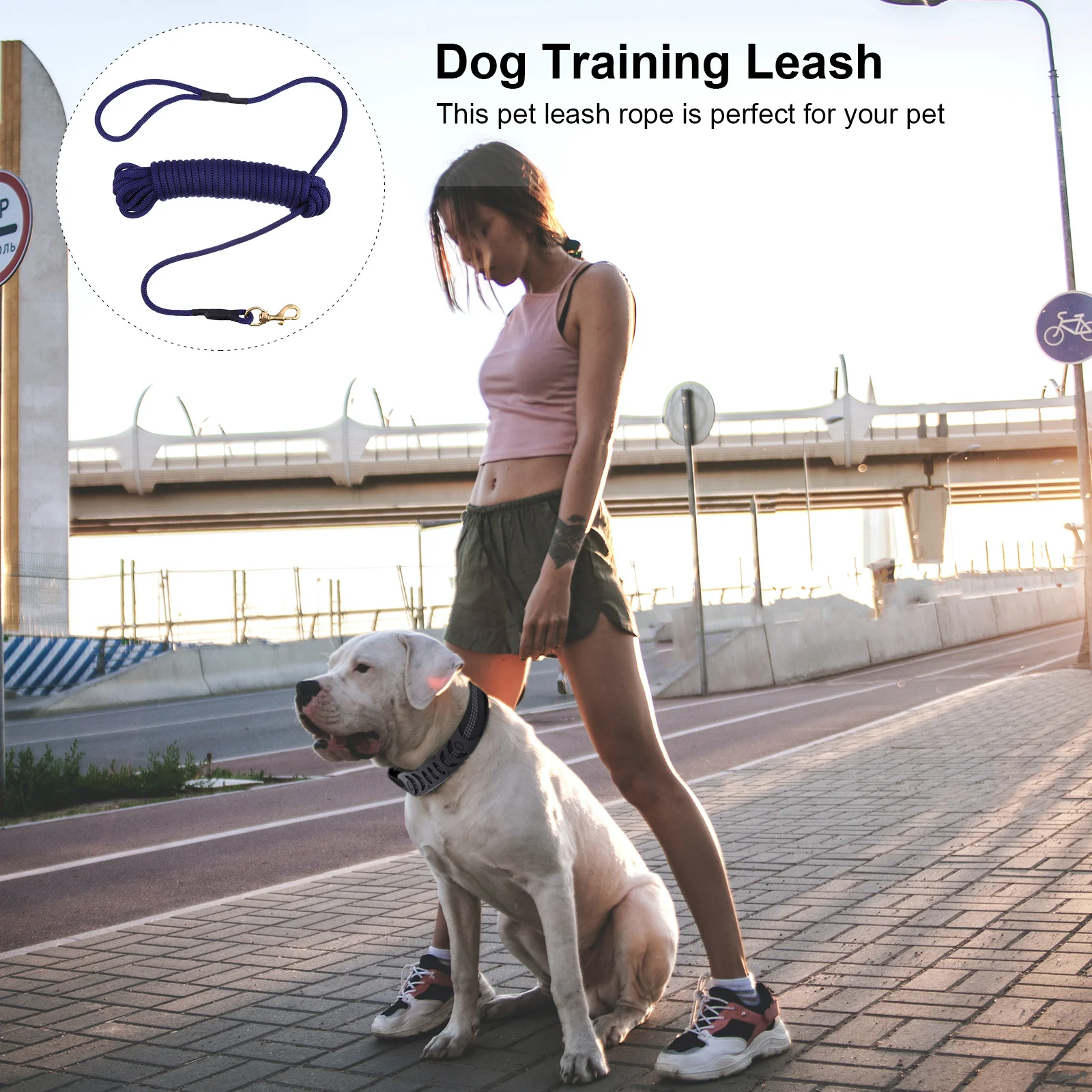 

10m Extra Long Dog Leash High Density Polypropylene Rope Easy Attach Hook for Pet Outdoor Walking Training Pet Leash